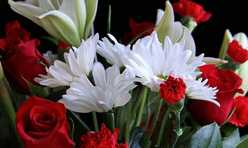 10 Tipos de flores para velório e seus significados - Conslac Blog